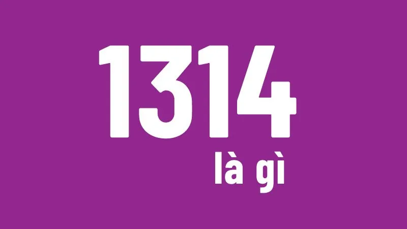 1314 là gì vậy?