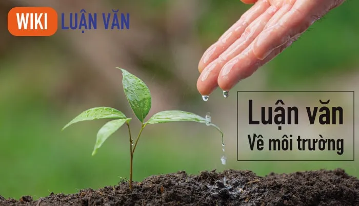 Vài nét giới thiệu sơ bộ luận văn về môi trường