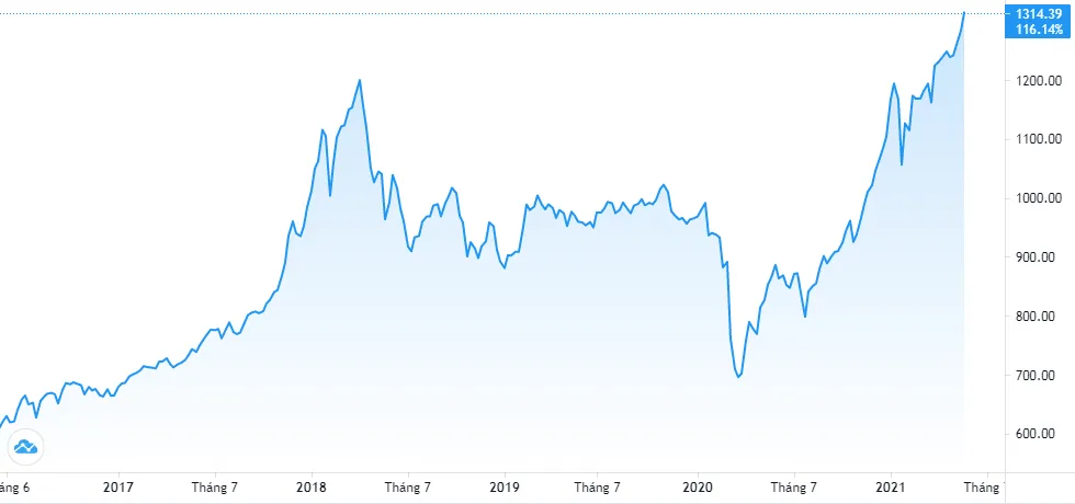 Bieu-do-Vn-index