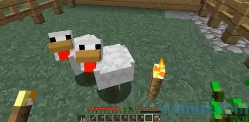 nuoi ga trong minecraft