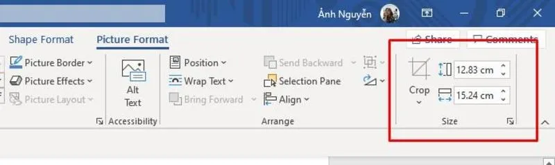 Trường hợp muốn có chiều cao và rộng chính xác, chọn tab Format để thay đổi kích thước bạn muốn.