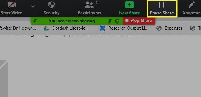 How to Pause a Screen Share in Zoom