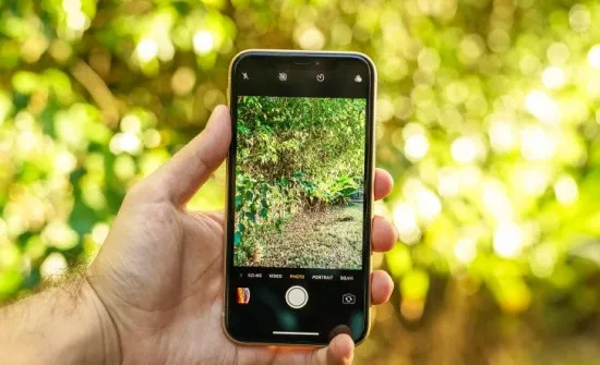 Camera iPhone luôn được đánh giá cao về tone màu chân thực và tự nhiên