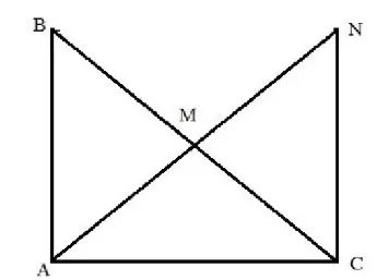 đường trunh tuyến trong tam giác đặc biệt 