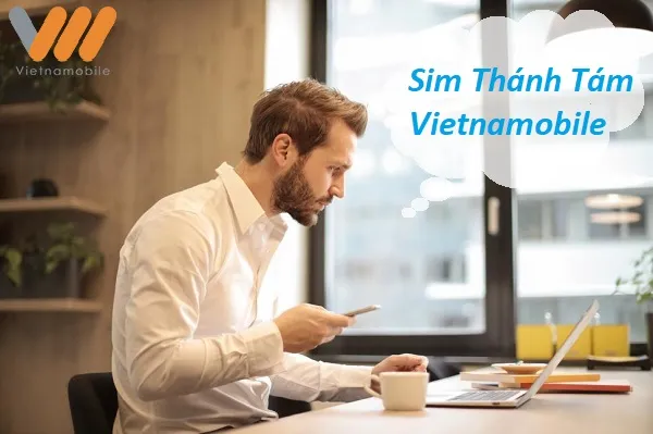 Chi tiết về Sim Thánh Tám Vietnamobile