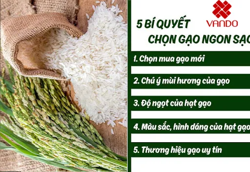 cách chọn gạo chất lượng