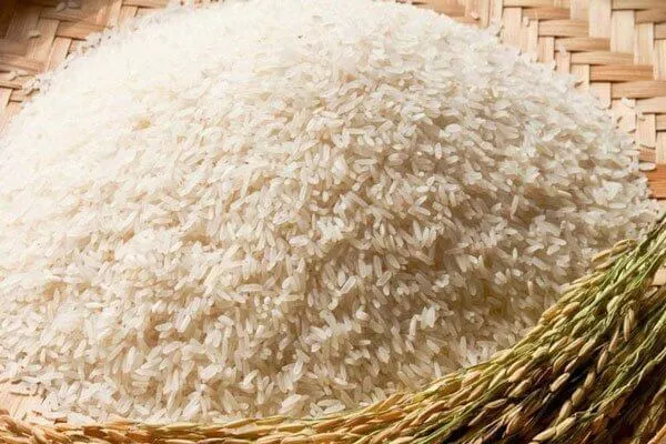 Chọn gạo đầu mùa hoặc gạo Đài Loan