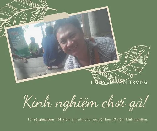 Kinh Nghiệm Chơi Gà