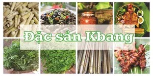 Top 14 Đặc Sản Nhất Định Phải Thử Khi Đi Du Lịch Kbang