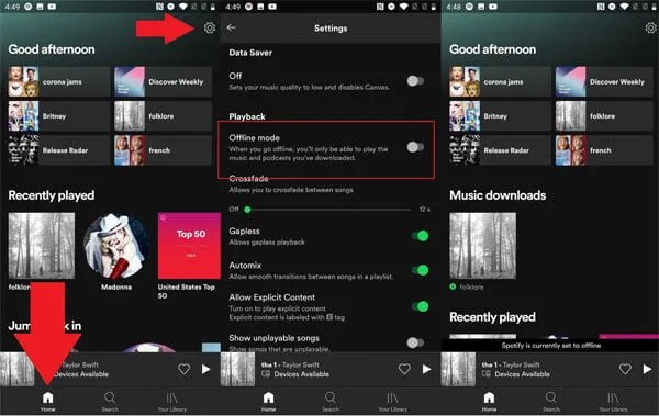 Cách Tải nhạc từ Spotify về Máy tính hình 4