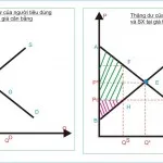 Kinh tế học (P6: Kiểm soát giá)