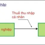 Chính phủ nên đánh Thuế thu nhập hay Thuế tiêu dùng ?