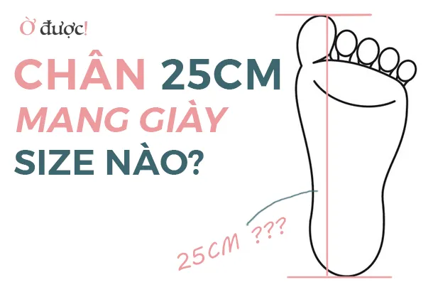 chan-25cm-mang-giay-size-nao