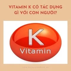 Vitamin K Có Tác Dụng Gì Với Con Người?