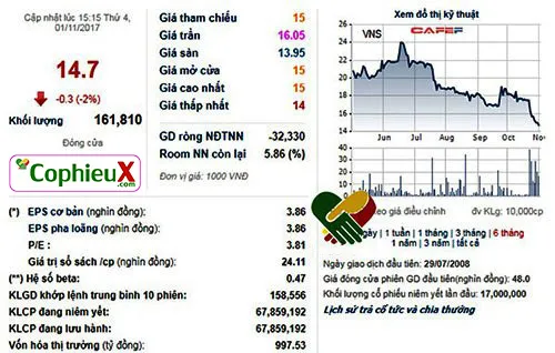 CHỉ số PE, P/E, P/B của VNS