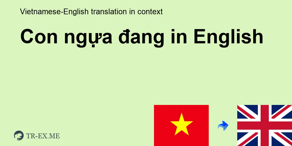 CON NGỰA ĐANG Tiếng anh là gì - trong Tiếng anh Dịch