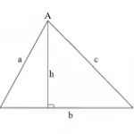 Công thức tính diện tích tam giác vuông, cân, đều chính xác
