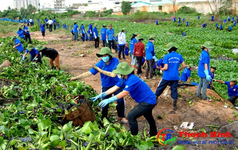 Sinh viên hăng hái tham gia các hoạt động bảo vệ môi trường