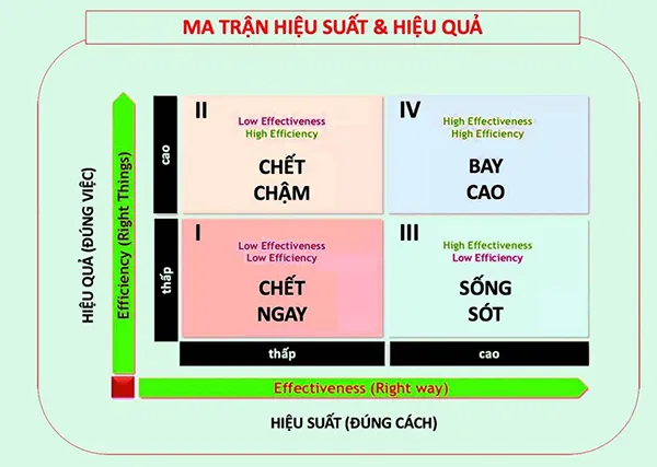 Ma trận hiệu quả và hiệu suất