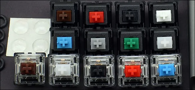 các loại switch trên bàn phím cơ