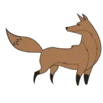 Coyote