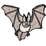 Bat