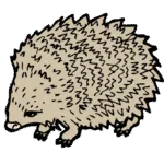 Hedgehog