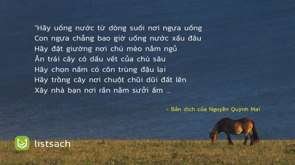 Câu nói hay về cuộc sống - triết lý sống ý nghĩa