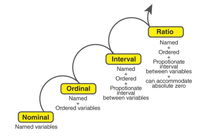 Các loại thang đo (Scales of Measurement) trong thống kê là gì? - Ảnh 1.