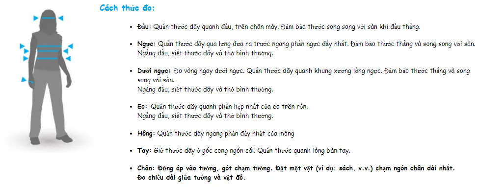 cách lấy số đo cơ thể cho nữ