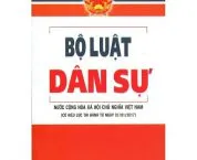 Giám hộ đương nhiên của bố là người mất năng lực hành vi dân sự là ai?