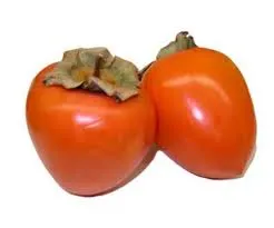 persimmon.