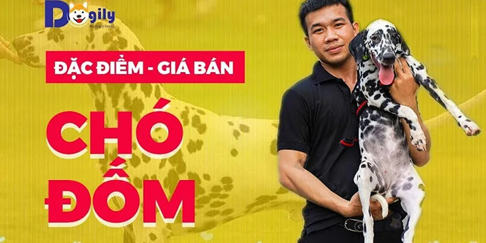 1 cả La bao nhiêu tiền mua chó