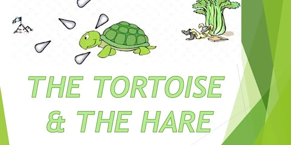 Bài học rút ra từ câu chuyện Rùa và Thỏ bằng tiếng Anh