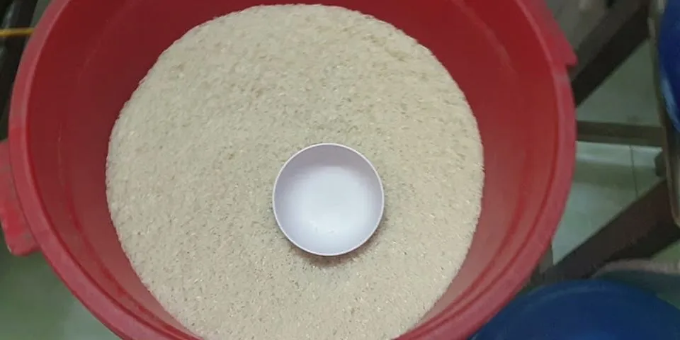 Cách nấu gạo tám thơm