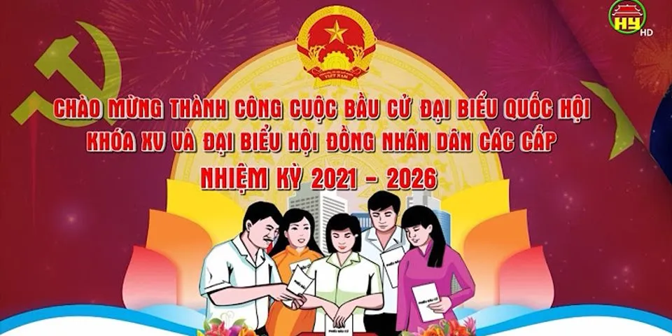 Danh sách trúng cử đại biểu Hội đồng nhân dân tỉnh Ninh Bình