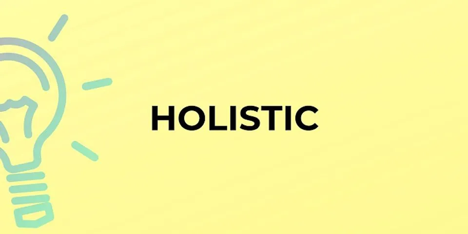 Holistic business meaning