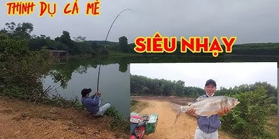 Kinh nghiệm câu cá mè