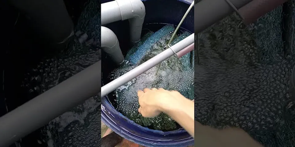 cách làm hồ cá bằng thùng nhựa