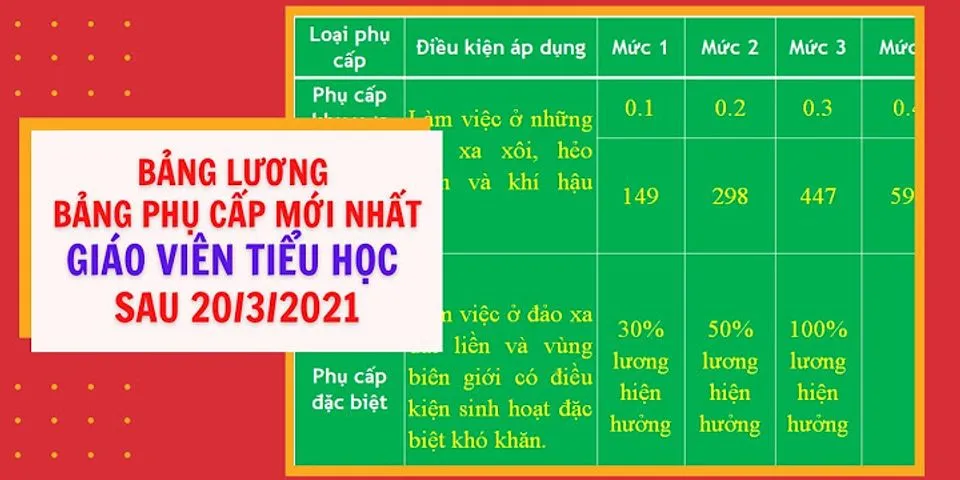 Lương của giáo viên tiểu học mới ra trường