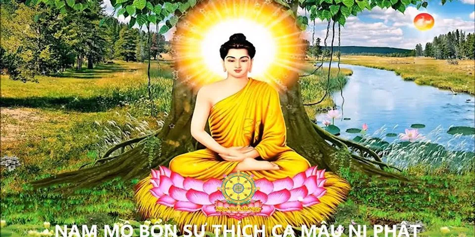 Nam Mô Bổn Sư Thích Ca Mâu Ni Phật là gì