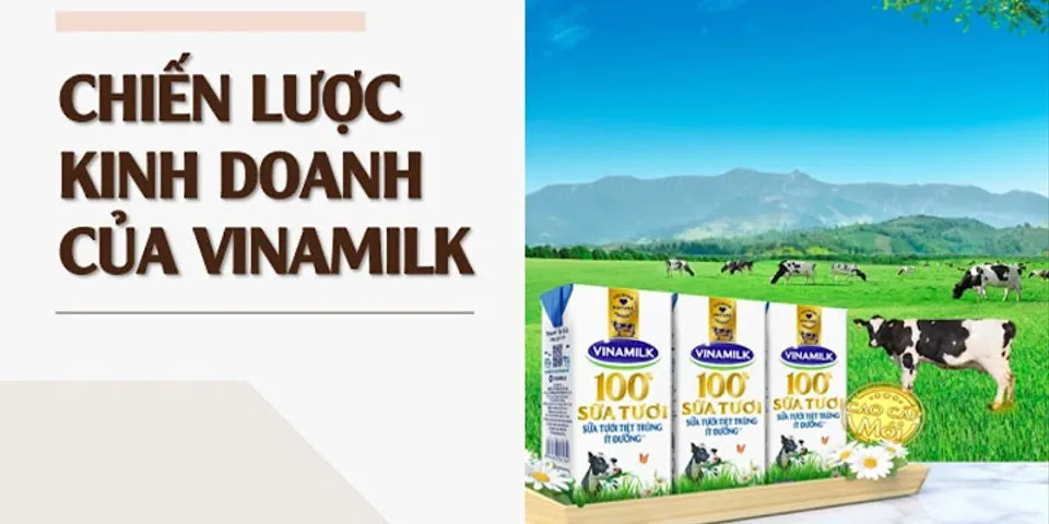 Phân tích các chức năng quản trị tại công ty cổ phần sữa Vinamilk