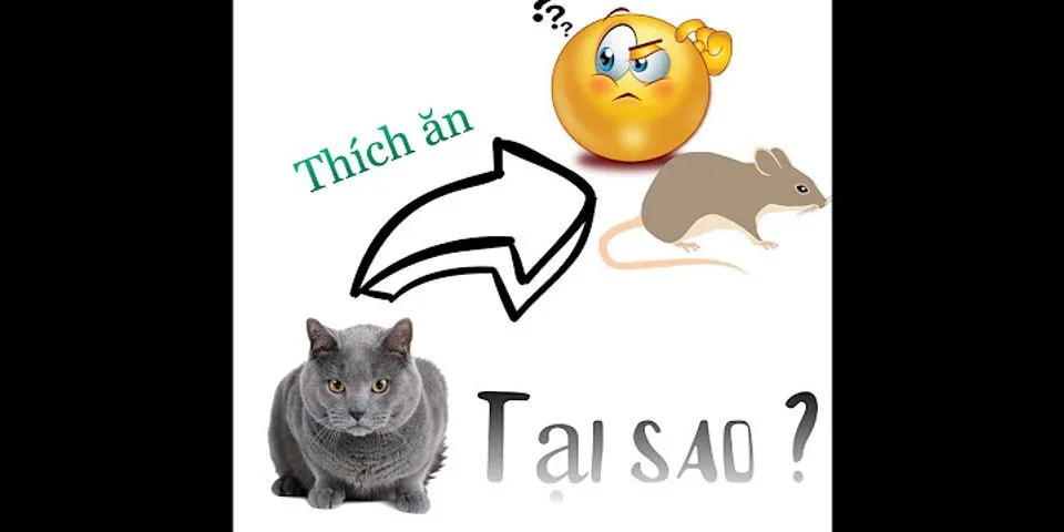 Tại sao mèo thích vờn chuột