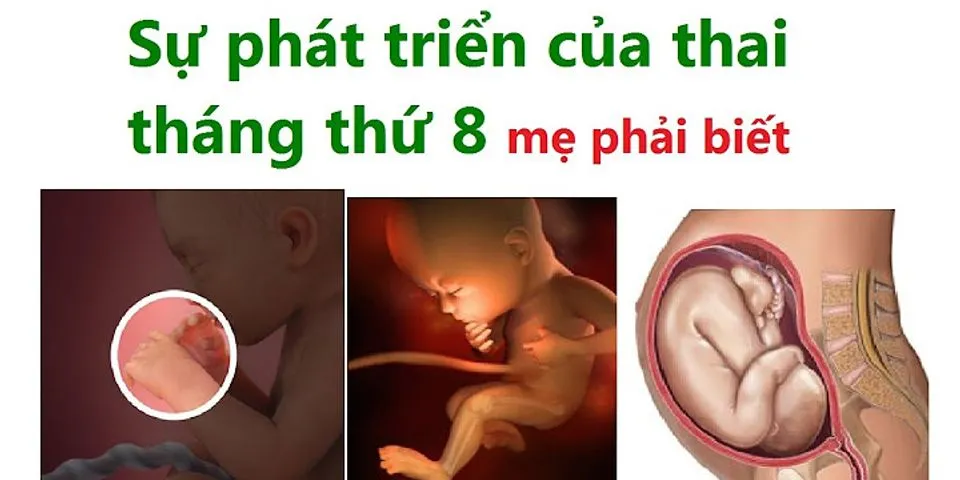 Thai 8 tháng nặng bao nhiêu