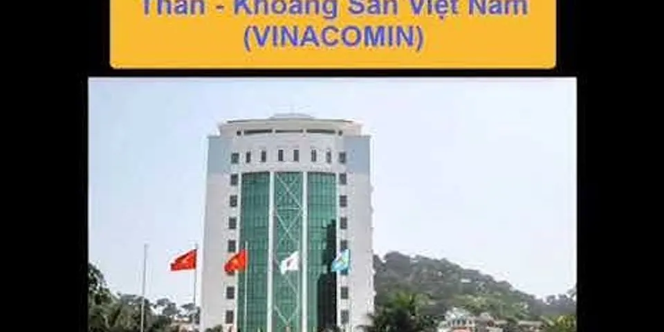 Top 100 công ty lớn nhất Việt Nam