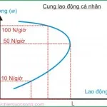 Kinh tế học (P25: Thị trường lao động P1)