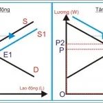 Kinh tế học (P26: Thị trường lao động P2)