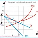 Kinh tế học (P23: Thị trường cạnh tranh không hoàn hảo P1)