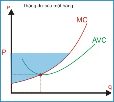 kinh te hoc p21 - thang du nsx 2