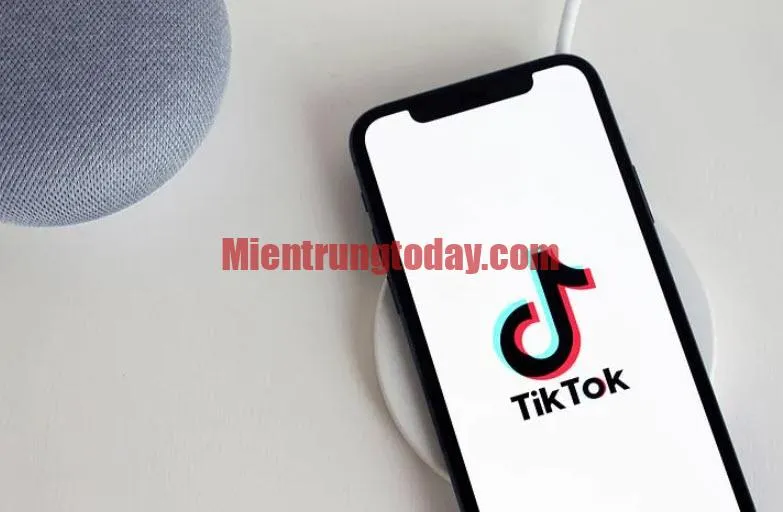 Tiểu Sử Tik Tok Thả Thính